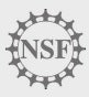 nfs logo