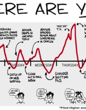 Advisor Issues